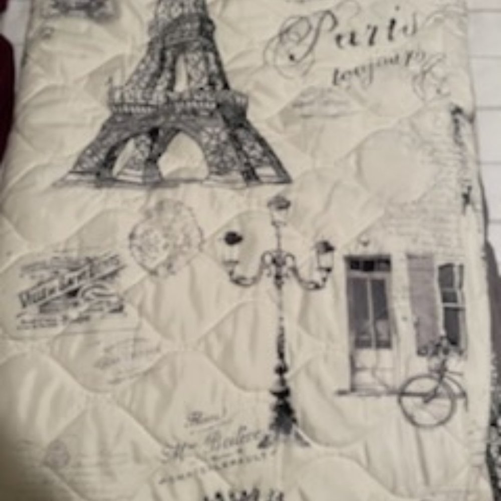 Paris Theme Quilt king or Queen - Picture 6 of 7